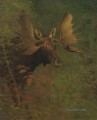 ESTUDIO DE UN ALCE animal americano de Albert Bierstadt